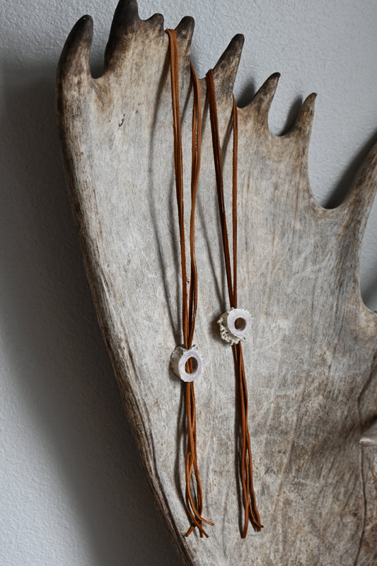 Big Buck Bolo