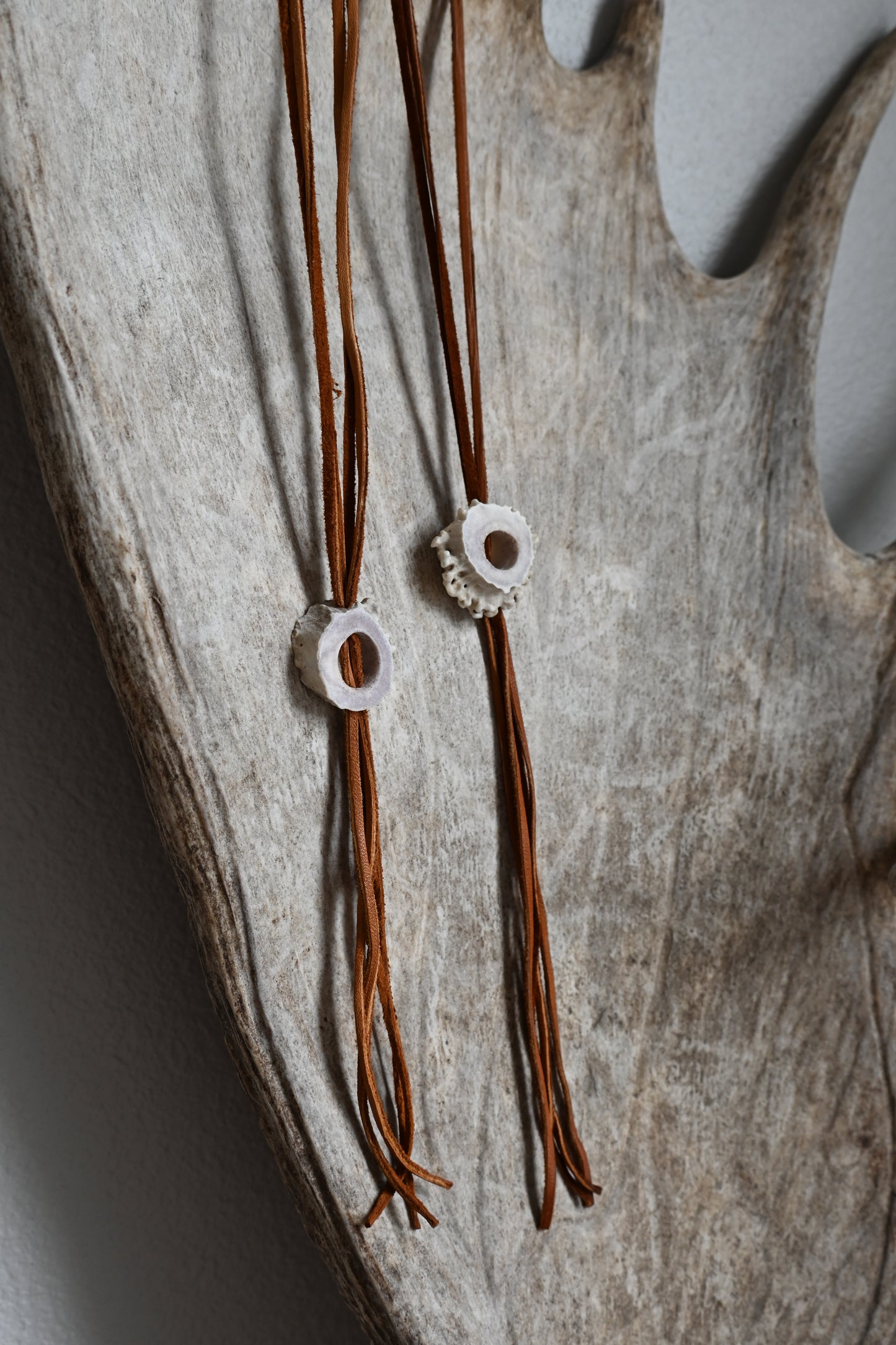 Big Buck Bolo
