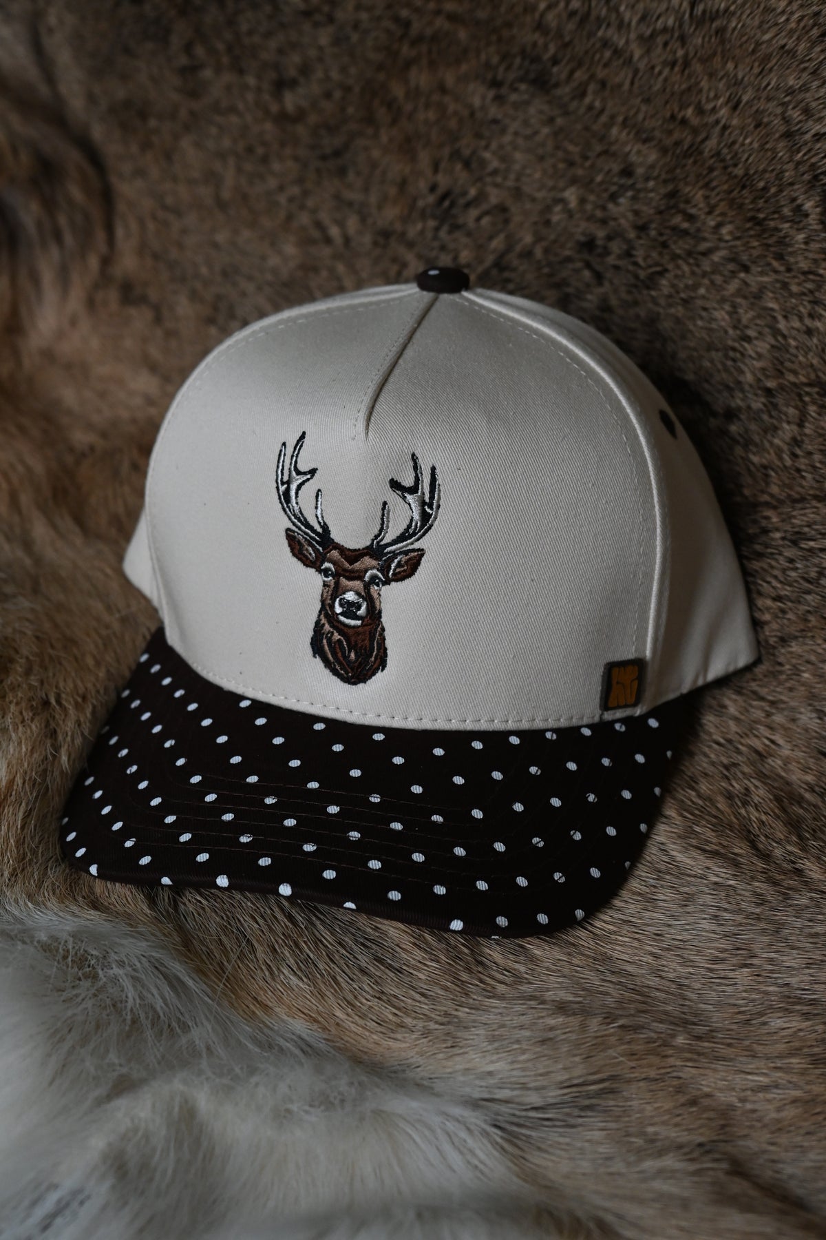 The Big Buck Trucker